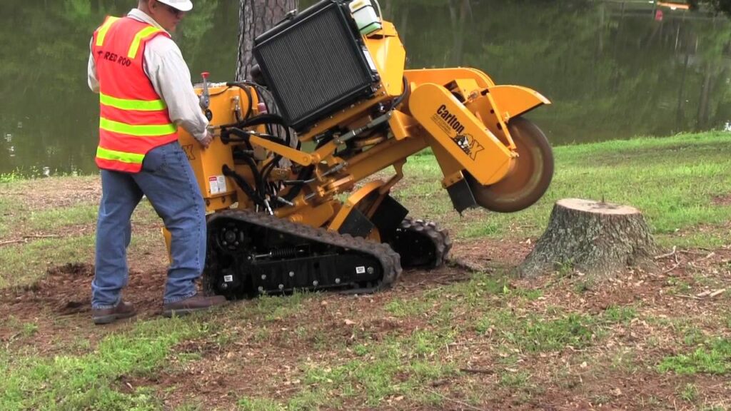 Stump Grinding vs. Stump Removal