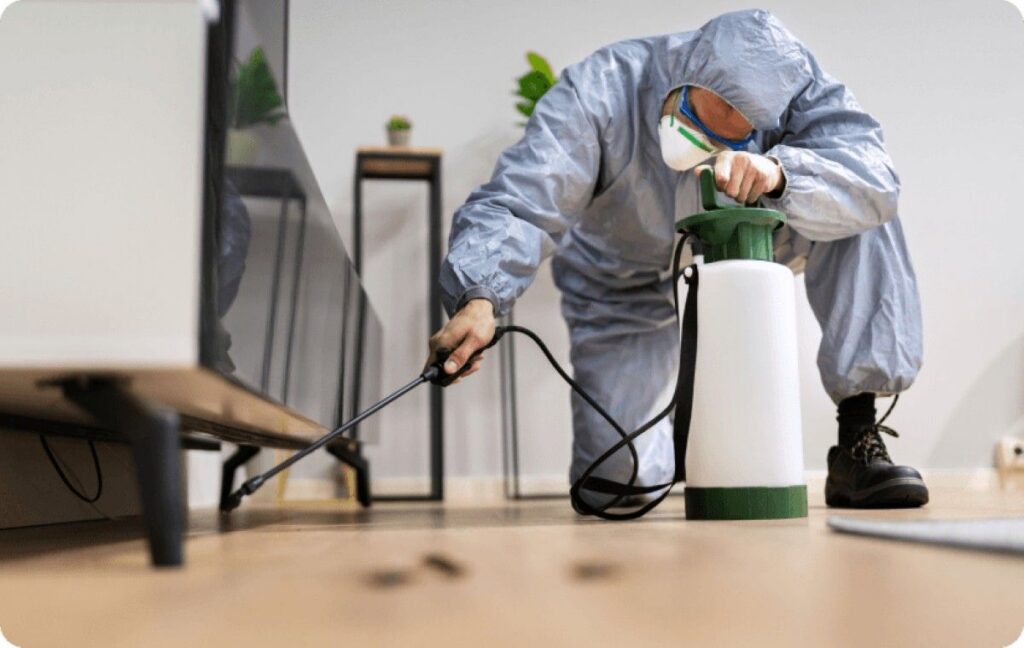 pest and termite control